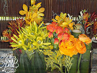 The French Petal