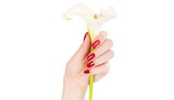 Aidas Nail Boutique & Beauty Salon