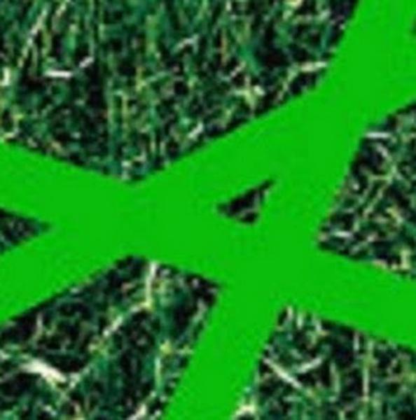 Mowers Galore: Grovedale