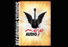 Mojo Audio Recording Studios