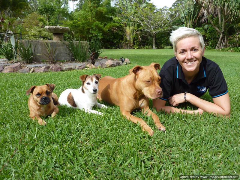 Kat's 4 Dogs