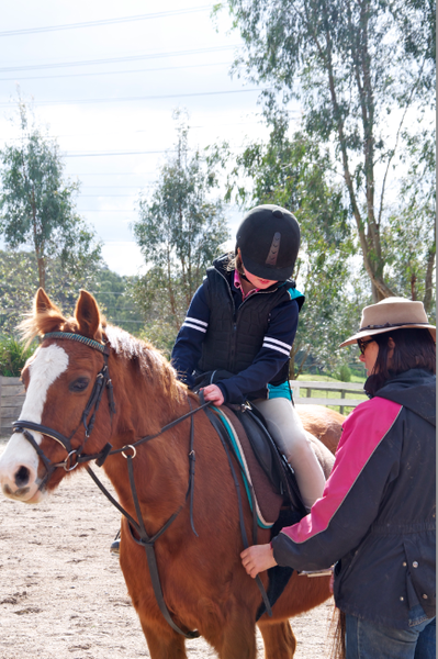 Valley Park Riding School