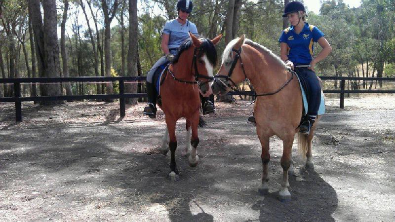 Unicorn Valley Equestrian Centre