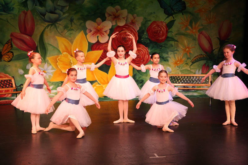 The Victorian Creative Arts Space And Dancers' Studio