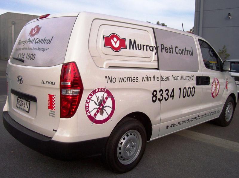 Murray Pest Control: Stepney