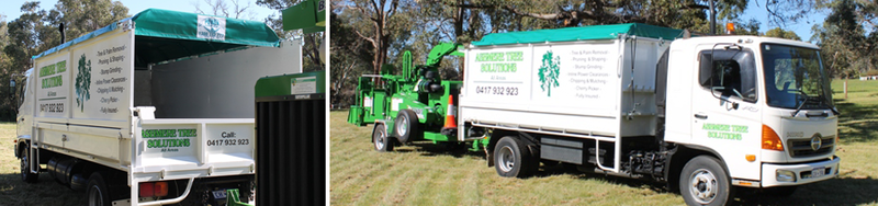 Ashmere Tree Solutions