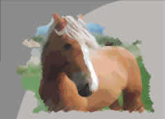 Pegasus Park Equestrian Centre