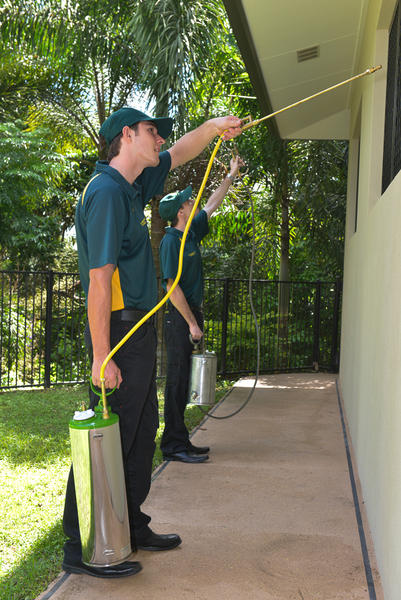 Peter & Paul's Pest Control: Cairns