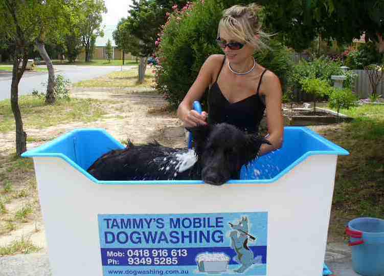 Tammy's Mobile Dog Washing