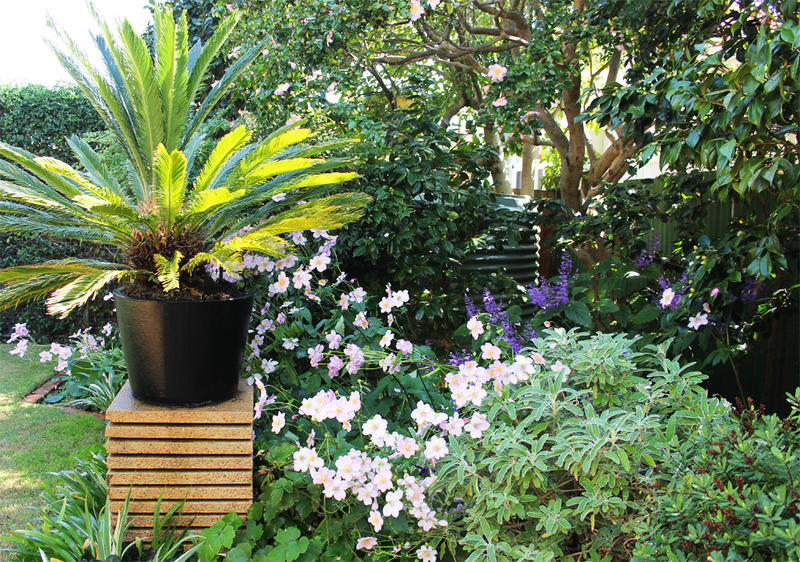 Ingardens Pty Ltd