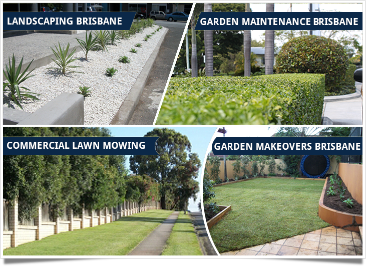 Blue Tongue Property Maintenance