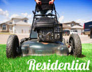 Mowing King