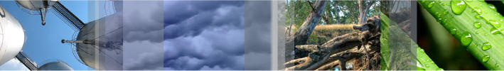 Vantage Environmental Management