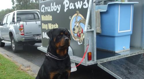 Grubby Paws Mobile Dog Wash