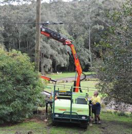 Shaun Sutton Power Poles