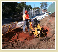 Illawarra Stump Grinding