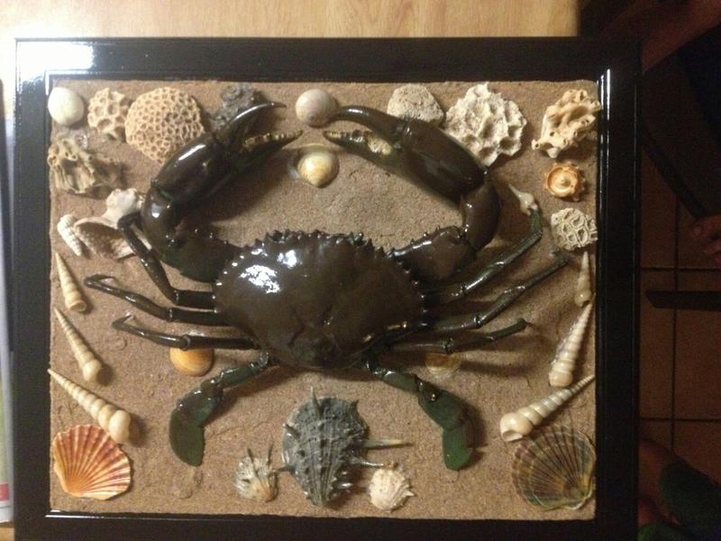 Taxidermists and Fauna Artists