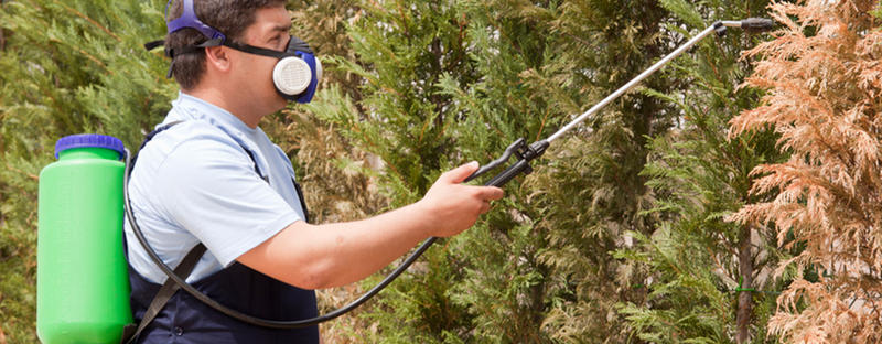 Shield Pest Management: Miranda