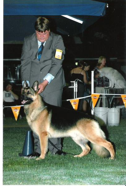 Shona's Pet Groom