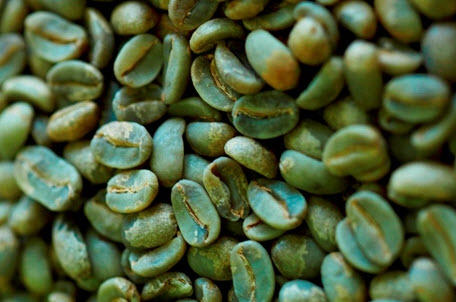 GreenCofee