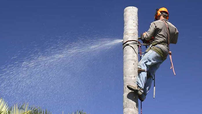 Owen's Tree Service