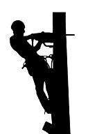 Tempest's Arborist Service