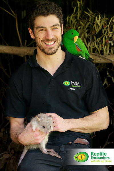 Reptile Encounters