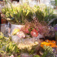 Rosalie Gourmet Market