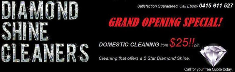 Diamond Shine Cleaners