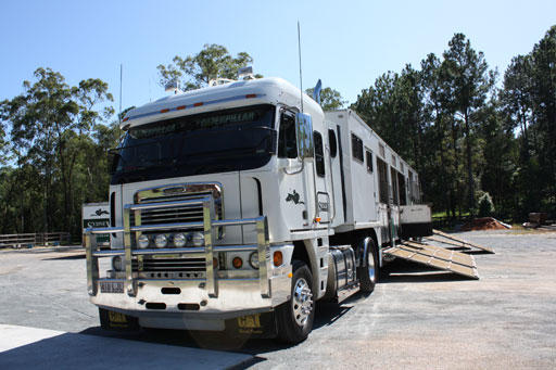 Brisbane Horse Transport