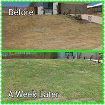 Top Notch Lawn & Gardening Services