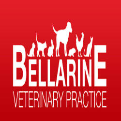 Bellarine Veterinary Practice: Grovedale