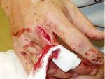 Assimilate First Aid