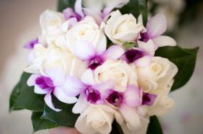 Blush Bloom and Events