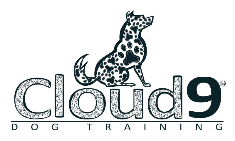 Cloud 9 Dog Training