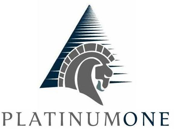 Platinum One Accounting Services