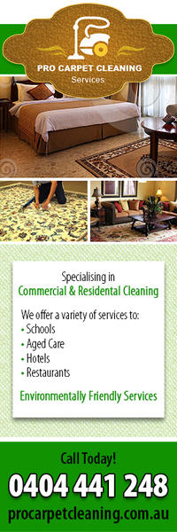 Pro Carpet Cleaning Services