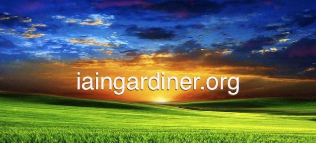 Iain Gardiner logo