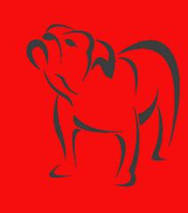 Training Townsville's Dogs logo