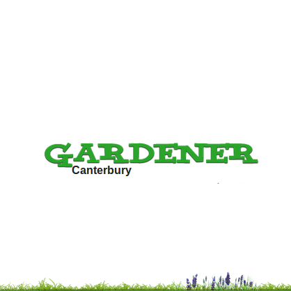 Gardener Canterbury
