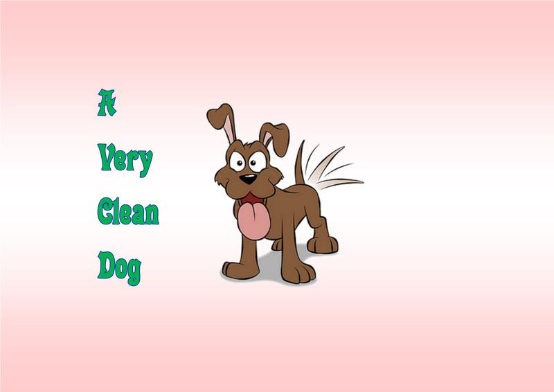 A Very Clean Dog