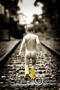 Tanya D'Herviile Photography