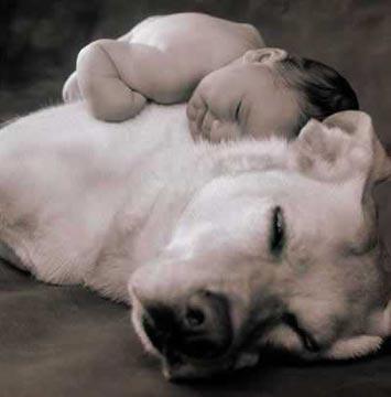 Positive Puppies