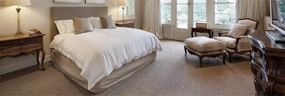 Stainoff Carpet Cleaning