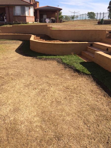 Shane Clark Landscaping