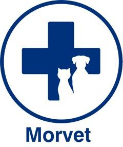 Moruya Animal Hospital