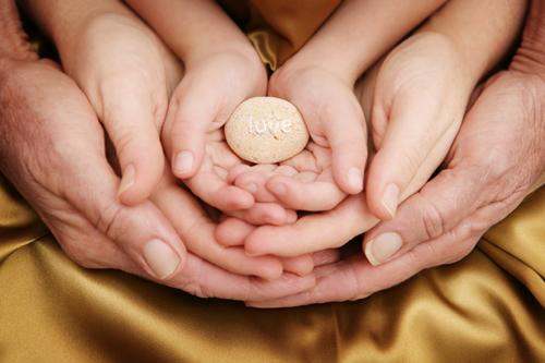 Provision Wealth Management