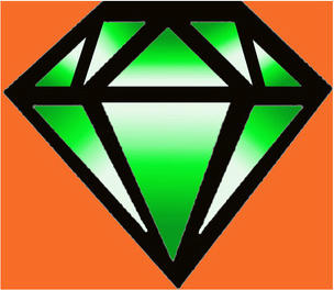 Emerald Carpet Upholstery Cleaning and Pest Control Service