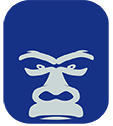 SilverbackTech Pty Ltd