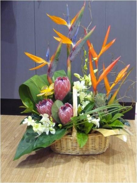 Leaf en Bloom